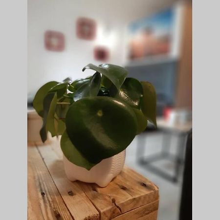 Apartament La Cour De Jeanne Aurillac Zewnętrze zdjęcie
