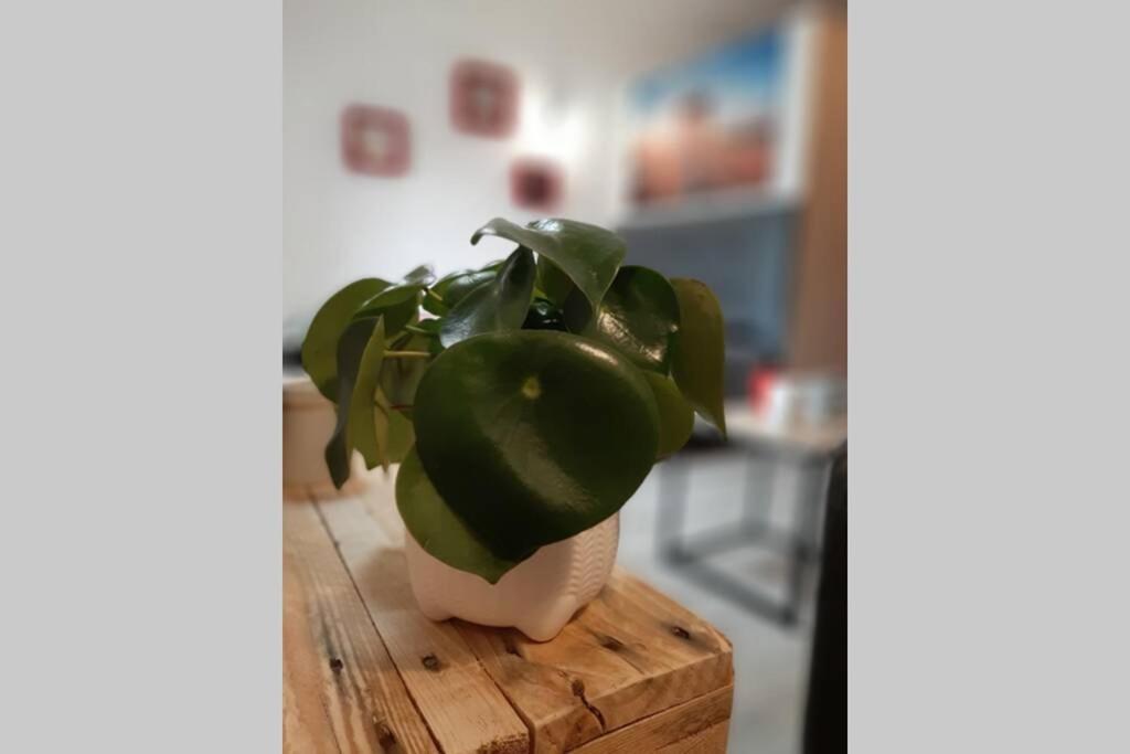 Apartament La Cour De Jeanne Aurillac Zewnętrze zdjęcie